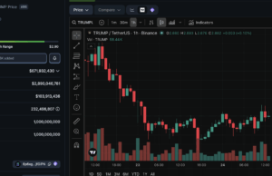 Why Crypto Traders Are Turning on the TRUMP Memecoin