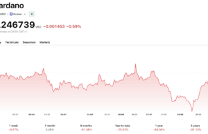 Cardano News: NFT Marketplace Shutdown Raises Big Questions About Ecosystem Growth