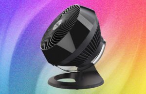 The 11 Best Fans to Buy Before It Gets Hot Again (2026)