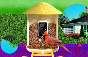 The Smart Bird Feeders Everyone’s Talking About (and Actually Buying) (2026)