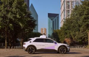 A self-driving car in Texas hit and killed a mother duck, sparking neighborhood outrage