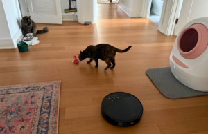 Best vacuums for pet owners in 2026: Cordless and robot vacuums tested at home