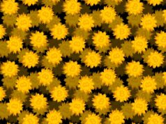 De-fi platform Drift suspends deposits and withdrawals after millions in crypto stolen in hack