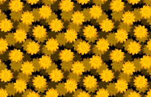 De-fi platform Drift suspends deposits and withdrawals after millions in crypto stolen in hack