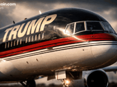 Full Performance Breakdown Across 4 Digital Asset Projects – Bitcoin News