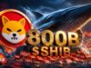Shiba Inu Whale Moves 800B SHIB, Sparks Market Focus Shift