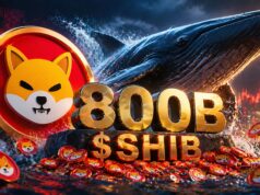 Shiba Inu Whale Moves 800B SHIB, Sparks Market Focus Shift
