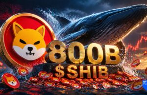 Shiba Inu Whale Moves 800B SHIB, Sparks Market Focus Shift