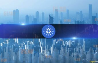 Is Cardano the Most Overvalued Crypto Project? Analysts Debate as ADA Dumps