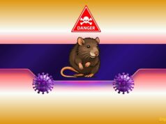 Can a Potential Outbreak Spark a New Meme Coin Frenzy?