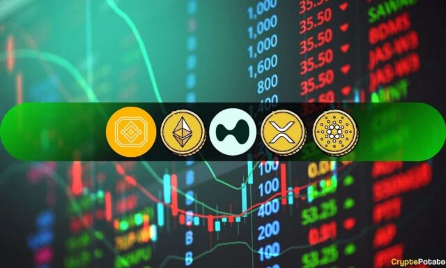 ETH, XRP, ADA, BNB, and HYPE