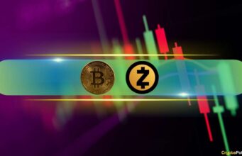 Massive 40% Gains From SKYAI and ZEC as BTC Taps $82K: Market Watch