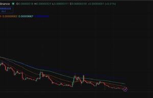 Cardano Hoskinson’s Called Bitcoin Dumb: His Rants Don’t Move ADA