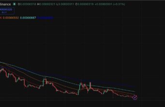 Cardano Hoskinson’s Called Bitcoin Dumb: His Rants Don’t Move ADA