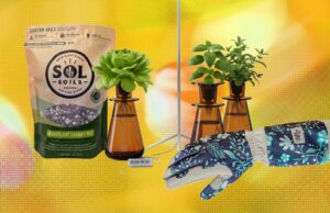 15 Best Gifts for Plant Lovers and Gardeners (2026)