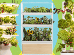 Best Indoor Garden Systems: I’ve Been Testing All Year (2026)