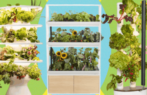 Best Indoor Garden Systems: I’ve Been Testing All Year (2026)