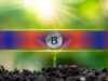How $619M Midweek Bleed Was Erased by Massive One-Day Crypto Inflow