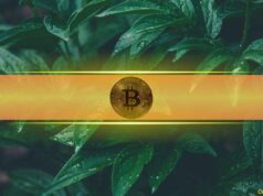 Bitcoin Price Surged to $77K After Trump Signals Major Iran Peace Breakthrough