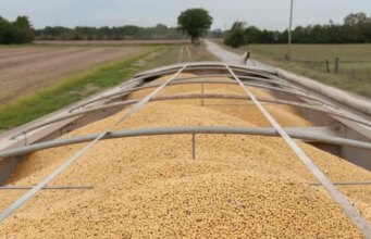 China agrees to purchase $17B in US agricultural products annually through 2028