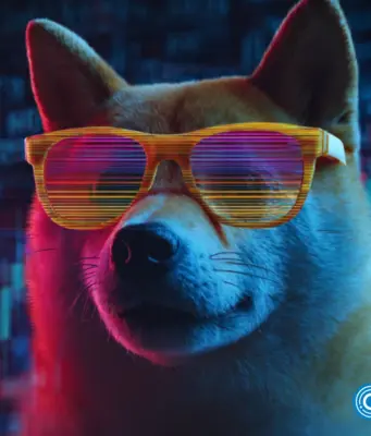 DOGEBALL 2900% profit chase crushes Poly Truth Capital, Meme Punch stagnation to stand alone as the leading crypto presale to buy now