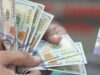 US dollar steady as oil prices rise amid bond selloff