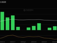 Bitcoin ETF News: BTC Slips Below $80K Despite Record $1B ETF Inflows—Time to Buy the Dip?