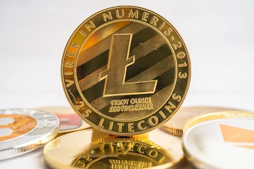 unnamed_Litecoin.webp.webp