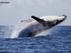 Whale Dumps $100M ETH Short, Pivots to $13.4M Bitcoin Bet at 20x Leverage